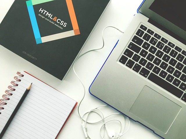what is web development