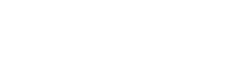 logo savify wh